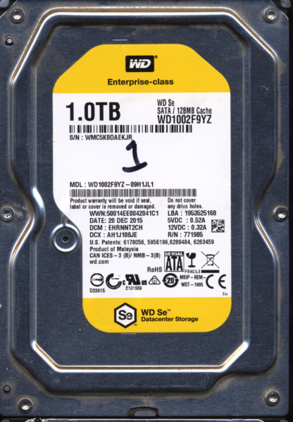 WD 1TB WD1002F9YZ-09H1JL1 DCM EHRNNT2CH T2 2060-771985-002 DONOR DRIVE