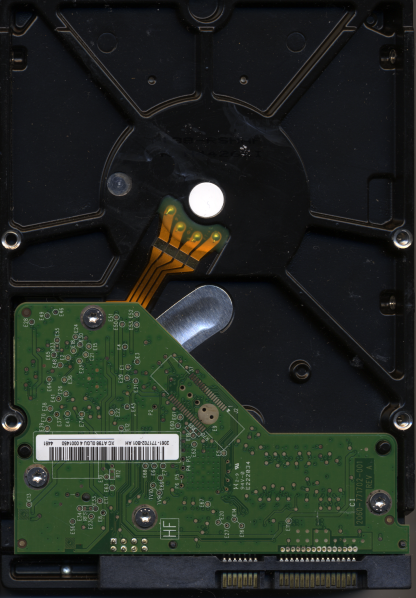 WD 1TB WD1003FBYZ-010FB0 DCM HARNHTJAHB TJ 2060-771702-001 Donor Drive - Image 2